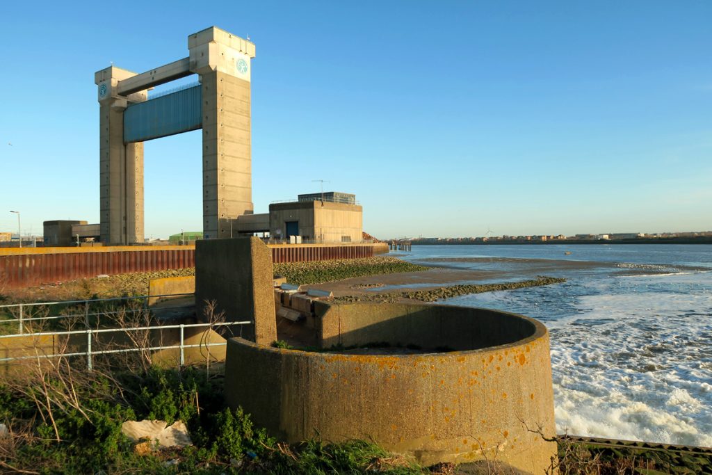 Exploring Barking Creek & Beckton Creekside Nature Reserve